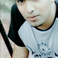 Alan Potter的照片