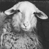 Oğuzhan Aslantaş's Photo