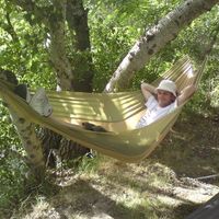 Pieter van Mol's Photo