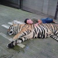 Fotos de Francisco J. Rivg