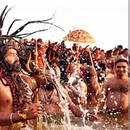 Kumbh Mela's picture