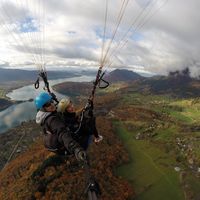 Laura Scalfi的照片