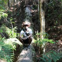 Giancarlo Magno的照片