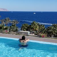 Islam Haytham的照片