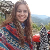 dafna cohen的照片