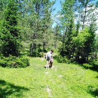 Zdjęcia użytkownika Диана Молодова