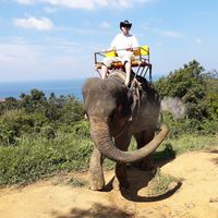 Dmitryi Tolstykh的照片