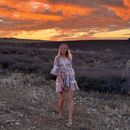 Lavender Trip / Valensole Verdon's picture