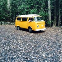 Solomon O'Toole的照片