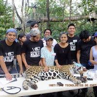 Andrés Piña的照片