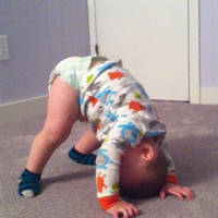 Jason Ollila的照片