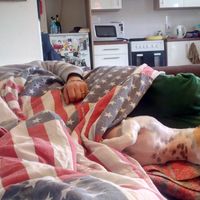 Amal Kearns的照片