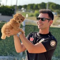 Fotos von Emre Altan