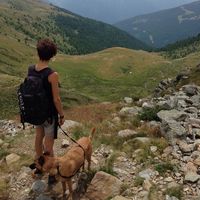 Sarah Zublasing's Photo