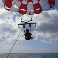 Luis Alexander Lugo的照片