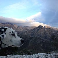 Joanna St Fee's Photo