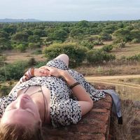 Linsey Knibbeler的照片