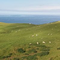 Sanjaya Aryal's Photo