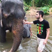 Kasım Işık的照片