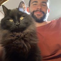 Fotos de Francesco Palermo