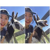 Fotos von YING HSUAN HUANG