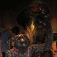 Phạm BìnhMinh's Photo