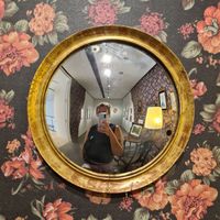 Gina Favretto's Photo