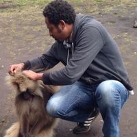 Bereket Gebreyes's Photo