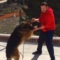 Ender Ahlatçıoğlu's Photo