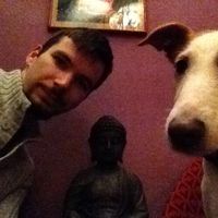 Fotos de Bálint Pásztor