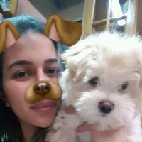 Alaa ElHabashy的照片