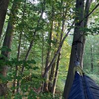 Karoliina Hakala的照片