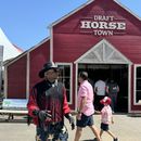 Photo de l'événement Calgary Stampede 