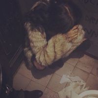 Saima Stainton's Photo