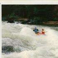 Robert Sain的照片