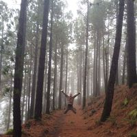 Dániel Czifrik's Photo