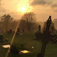 Willow Tucker的照片