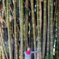 Photos de Nicole Crane