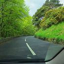 Limerick Road Trip - Explore The Gems's picture
