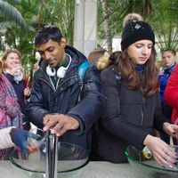 Fotos von farida farajova