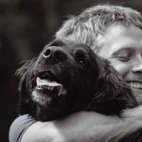 Photos de Neil Johnson