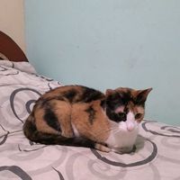 Fotos de Alexander Cuellar