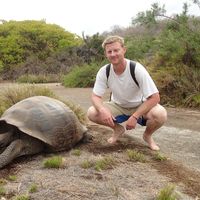 david despres的照片