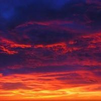 Carol Santos's Photo