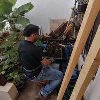 Zdjęcia użytkownika Manuel Proyecto 100 Acre