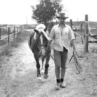 Fotos de Máté Bankhardt