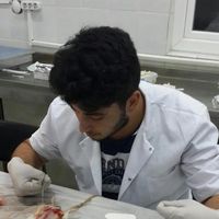 Ibrahim Korkut's Photo