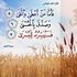 Sawsan Tayyan's Photo