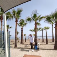 Pavlos Andrea's Photo