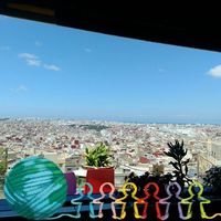 Abricom Maya的照片